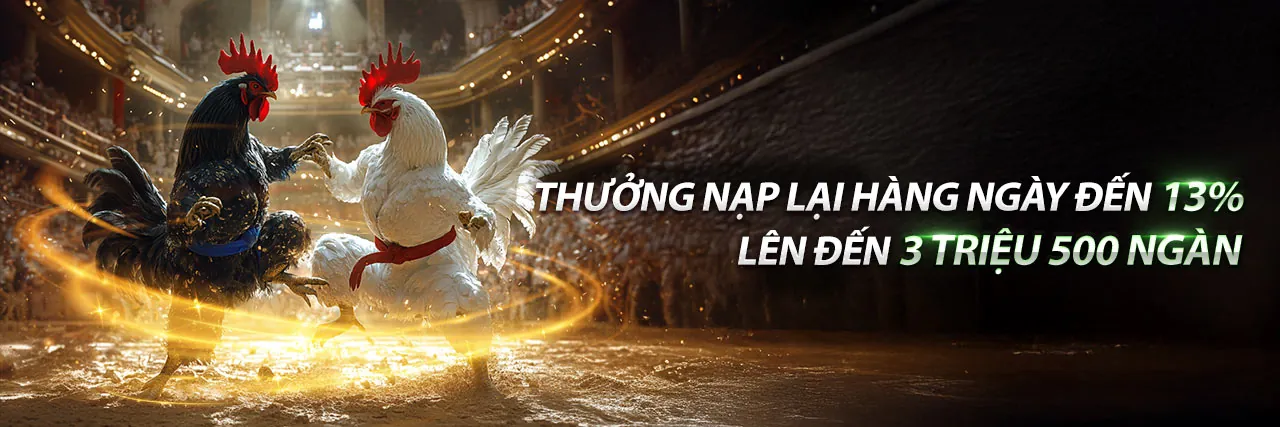 Đá gà trực tiếp 678 tại trường gà lớn